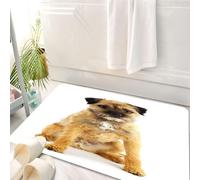 HKPOEQ Tappeto Bagno 50 x 80 cm,Tappetino in Microfibra, Tappeti Assorbente Antiscivolo,giovane e attivo border terrier inglese,Soffice Tappetini Doccia