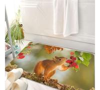 HKPOEQ Tappeto Bagno 50 x 80 cm,Tappetino in Microfibra, Tappeti Assorbente Antiscivolo,Gli scoiattoli amano i lamponi sui rami, gli scoiattoli marroni si nutrono di lamponi,Soffice Tappetini Doccia