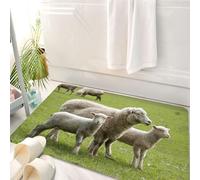HKPOEQ Tappeto Bagno 50 x 80 cm,Tappetino in Microfibra, Tappeti Assorbente Antiscivolo,La pecora madre e il suo agnello al pascolo, Pecore sul prato, Agnellini carini e le,Soffice Tappetini Doccia