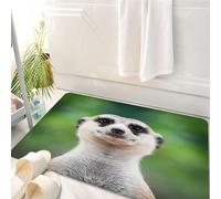 HKPOEQ Tappeto Bagno 50 x 80 cm,Tappetino in Microfibra, Tappeti Assorbente Antiscivolo,Lo sguardo affascinante di Mercart rivolto con curiosità alla telecamera,Soffice Tappetini Doccia