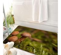 HKPOEQ Tappeto Bagno 50 x 80 cm,Tappetino in Microfibra, Tappeti Assorbente Antiscivolo,Piccoli funghi marroni che sgorgano dal lussureggiante muschio verde dagli angoli nat,Soffice Tappetini Doccia