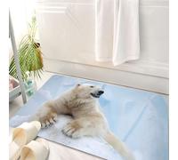 HKPOEQ Tappeto Bagno 50 x 80 cm,Tappetino in Microfibra, Tappeti Assorbente Antiscivolo,Zoo, ritratto di un grande orso polare bianco su artigli di ghiaccio. Antartide sette,Soffice Tappetini Doccia