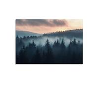 HKXXMTQMM Paesaggio - Alba nebbiosa nella foresta bavarese contemporanea da appendere - decorazione murale design 50 x 75 cm