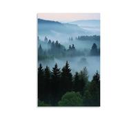 HKXXMTQMM Paesaggio - Mattina nebbiosa nella foresta bavarese contemporanea da appendere - Decorazione murale design 50 x 75 cm