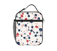 HLBSDM Borsa termica per il pranzo con formula chimica, ideale per uomo e donna, con manico removibile.