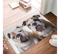 HLBSDM Due graziosi zerbini per ingresso con due simpatici cani bulldog, resistenti e adatti a tutte le stagioni, per esterni e interni, assorbenti, antiscivolo, a basso profilo, 24" x 16"