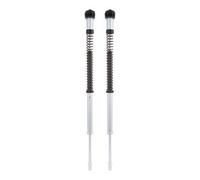 Ø -hlins, kit cartuccia forcella anteriore NIX22. Touring 17-22 Road Glide Custo