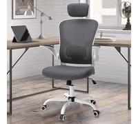 HLRTBCN Sedia da ufficio ergonomica in mesh nylon stro alto traspirante braccioli regolabili braccioli regolari cognomi computer comodo comodo Aqiong