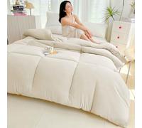 HLTQL Edredón De Invierno De Fibra De SOJA, Edredón Grueso De Invierno, Manta Muy Cálida Y Súper Suave para 2 Personas, Edredón De Microfibra, Edredón Acolchado Reversible(D,200X230cm/4kg)