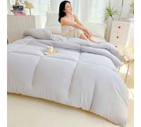 HLTQL Edredón De Invierno De Fibra De SOJA, Edredón Grueso De Invierno, Manta Muy Cálida Y Súper Suave para 2 Personas, Edredón De Microfibra, Edredón Acolchado Reversible(C,220x240cm/4kg)