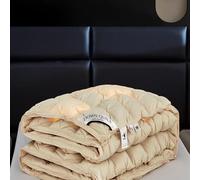 HLTQL Piumone Invernale Matrimoniale Piuma D'Oca Trapunte Invernali Singole/Matrimoniali Piumoni Una Piazza E Mezza per Inverno Freddo(#3,200x230cm-5kg)