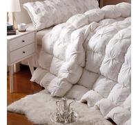 HLTQL Piumone Invernale Matrimoniale Piuma D'Oca Trapunte Invernali Singole/Matrimoniali Piumoni Una Piazza E Mezza per Inverno Freddo(#1,180x220cm*3.5kg)