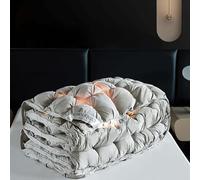 HLTQL Piumone Invernale Matrimoniale Piuma D'Oca Trapunte Invernali Singole/Matrimoniali Piumoni Una Piazza E Mezza per Inverno Freddo(#2,180x220cm-3.5kg)