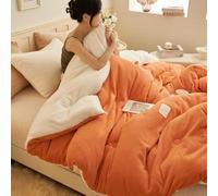 HLTQL Piumone Matrimoniale 4 Stagioni Piumone Invernale Matrimoniale Double Face Trapunte Letto Singolo/Matrimoniali Trapunta Invernale in Peluche(c,150x200cm*2.5kg)