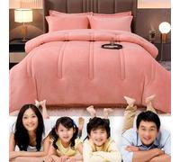 HLTQL Piumone Matrimoniale Invernale,Piumino Spesso con Nucleo Trapuntato Invernale,Trapunta Invernale in Velluto di Latte Caldo E Spesso,Coperta Addensare Fluffy Inverno(02,180x220cm/3.5kg)