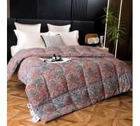 HLTQL Piumone Matrimoniale Piuma D'Oca Piumoni Una Piazza E Mezza Trapunte Matrimoniali Mezza Stagione Sonno Caldo(#3,200x230cm*3kg)