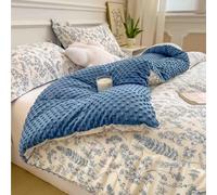 HLTQL Trapunta Invernale in Peluche Piumoni Singoli/Matrimoniali Piumone Invernale Matrimoniale 4 Stagioni Trapunte Invernali Piazza E Mezza(5,150x200cm*2kg)