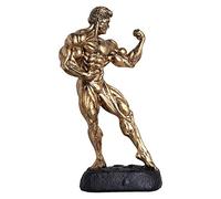 HLUONGTN Trofeo Fitness, Trofeo Campione Di Pugilato Erper Souvenir, Collezione/Bronze