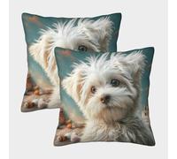 HLXZMCVBT Carino cane da compagnia Federe Cuscino Boho Super Morbido carino Velluto Con La Cerniera Invisibile 2 Pezzi Federe Copricuscini Per Divano Salotto E Camera 45x45cm