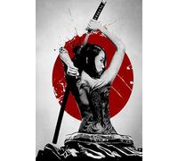 HMDKHI Empire Interactive - Poster giapponese Bushido, personaggi giapponesi di Ninja Samurai, poster Fuji con cornice (JP-07, 1 pezzi, 40 x 60 cm)