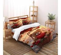 HMELTDIM Orsacchiotto Hot Air Set Di Biancheria Da Letto 3 Pezzi Con Stampa 3D Animal Themes Copripiumino Con 2 Federe in Microfibra Morbida E Leggera Double（200x200cm）