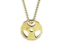 HMOOY Collana con Manubri, Collana con Pendente con Manubri in Acciaio Inossidabile al Titanio Collana a Catena con Manubri Collana con Ciondolo Coppia Gioielli Sportivi per Uomo Ragazzo (oro)