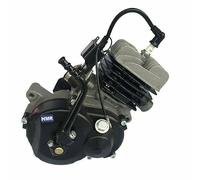 HMParts 50cc Motore 2 Tempi Raffreddato ad Aria Pedale Avviamento Idoneo per Motocicletta NRG50, Kxd Pro, Pit Bike, Dirt Bike