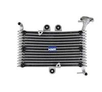 Hmparts Atv / Quad / Bashan Radiatore Tipo6 Nuovo!!