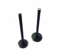 HMParts Set Valvole Per Motore CG 125 CCM Pit Bike Dirt Bike ATV Quad