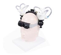 HMWOKPOT Modello Didattico Cocleare del Canale Semicircolare, Modello di Coclea Dell'orecchio Interno - Modello Anatomico Aperto del Canale Semicircolare Cocleare E Vestibolare,with Headband