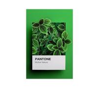 Hndeial Pantone - Poster su tela con immagine di madre natura, decorazione artistica da parete per soggiorno, camera da letto, senza cornice, 30 x 45 cm