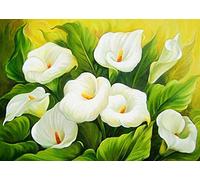 HNDXLHH Diamond Painting Kit 5d Full Giglio di Calla Quadri con Perline Pittura Diamante 5d Fai da Te Diamond Painting Kit Completo Grandi Dimensioni Disegni con Diamantini Home Decor 30 x 40 cm