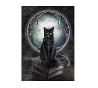 HNDXLHH Diamond Painting Kit Completo Gatto Nero Quadri con Perline Strass Adulti Diamante 5d Fai da Te Ricamo Pittura Diamond Painting Kit 5d Full Craft Arts Wall Decor 30 x 40 cm