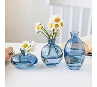 Hniuyun Set di 3 vasi in vetro, piccoli mini vasi per boccioli di fiori, vaso idroponico trasparente, decorazione estetica minimalista per la casa (blu)