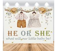 Hnmdmyi 2.1x1.5m Sfondo gender reveal rustico rami eucalipto foglie Lui o lei Cosa sarà il nostro piccolo bambino sfondo fotografico Decorazioni per la festa della rivelazione di genere