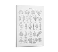 HNPBB Poster decorativo da parete con piante vintage, vari tipi di forme di foglie, poster decorativo su tela, poster decorativo moderno per camera da letto, per camera da letto (30 x 45 cm)