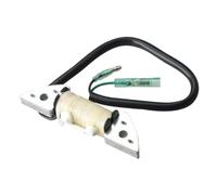 hNyDtpDhW Bobina di Carica eccitatrice 3B2-06120 3B2-06120-0 3B206120 Compatibile con Motore fuoribordo 2 Tempi 6HP 8HP 9.8HP M6 M8 M9.8 Magneto