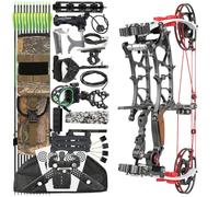HNZMDY Set arco compound e frecce: arco lavorato a CNC con let-off dell'80%, velocità IBO di 330 fps, potenza 30-75 libbre, per caccia e tiro al bersaglio (grigio, Kit di tiro con l'arco)