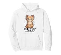 Ho Fatto i Conti La Risposta è Cat Funny Algebra Felpa con Cappuccio
