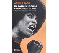 Ho fatto un sogno, cambiare il mondo. La rivolta delle Pantere nere