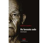 Ho lavorato sodo. Esercizi di poesia