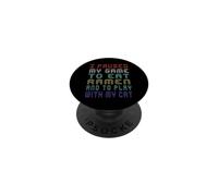 Ho messo in pausa il gioco per mangiare ramen e giocare con il mio gatto divertente PopSockets PopGrip Adesivo