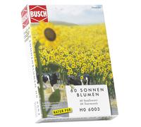 Ho Sunflower Field