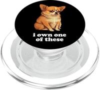 "Ho uno di questi" umorismo divertente chihuahua PopSockets PopGrip per MagSafe
