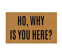Ho Why Is You Here Zerbino Ingresso Antiscivolo Tappeto Da Bagno Assorbente Tappeto Entrata Per Corridoio Esterno Interno 40X60 Cm