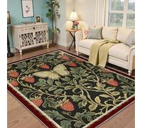 HOBBOY Tappeti Boho per l'area interna all'ingresso 80x150cm Tappeto vintage a farfalla fragola con motivo lavabile per cucina sala da pranzo zerbino a pelo basso con bordo rosso