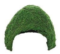 Hobby 34604 Jungle Cave 3, 243 g