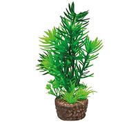 Hobby 51530 Flora Stone 1