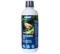Hobby Acqueristica Bacteria Fit I 500 ml I batteri detergenti bioattivi per acquari I depuratori d'Acqua per la biodegradazione di residui di mangime, ammonio e nitriti, purificazione Naturale