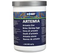 Hobby Artemia Uova